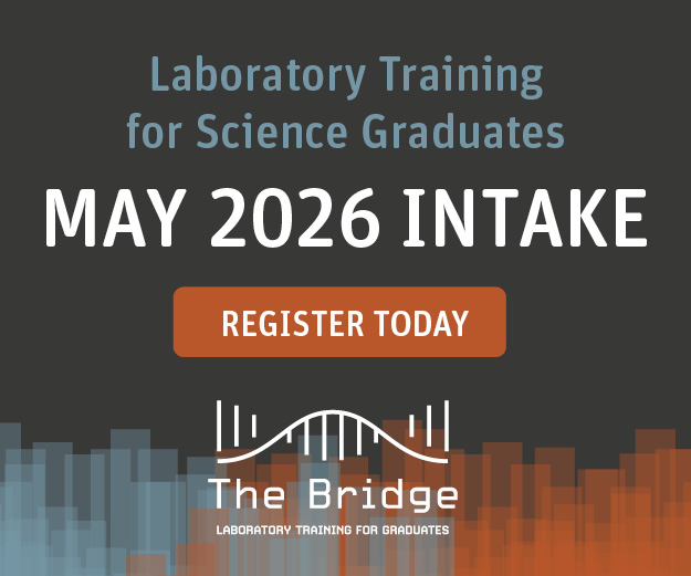 the bridge – website ad 28/01/2026